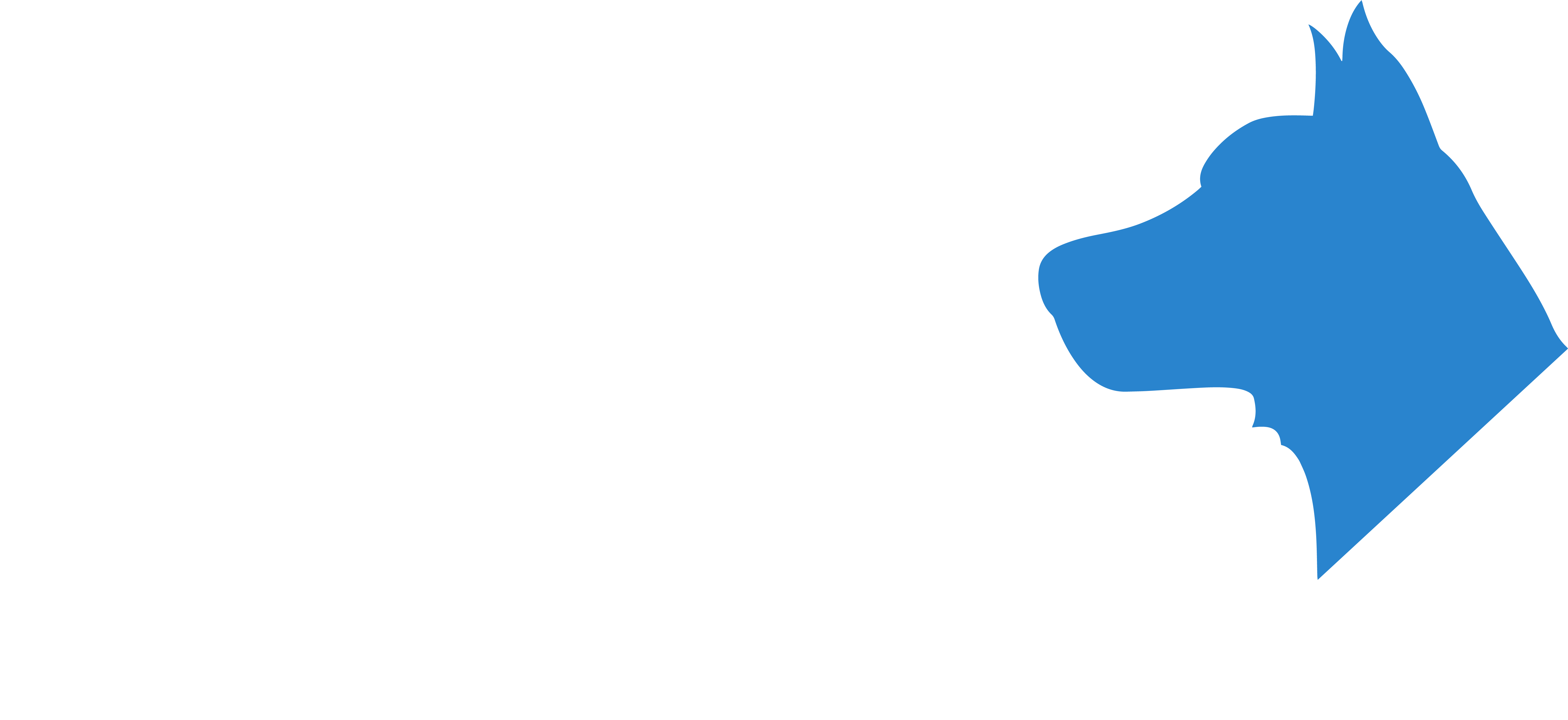 Logo Delegado Bruno Lima